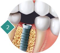 Odontologie